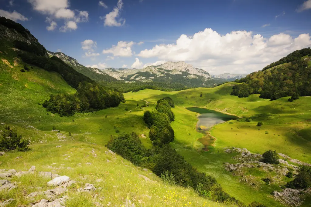 Sutjeska